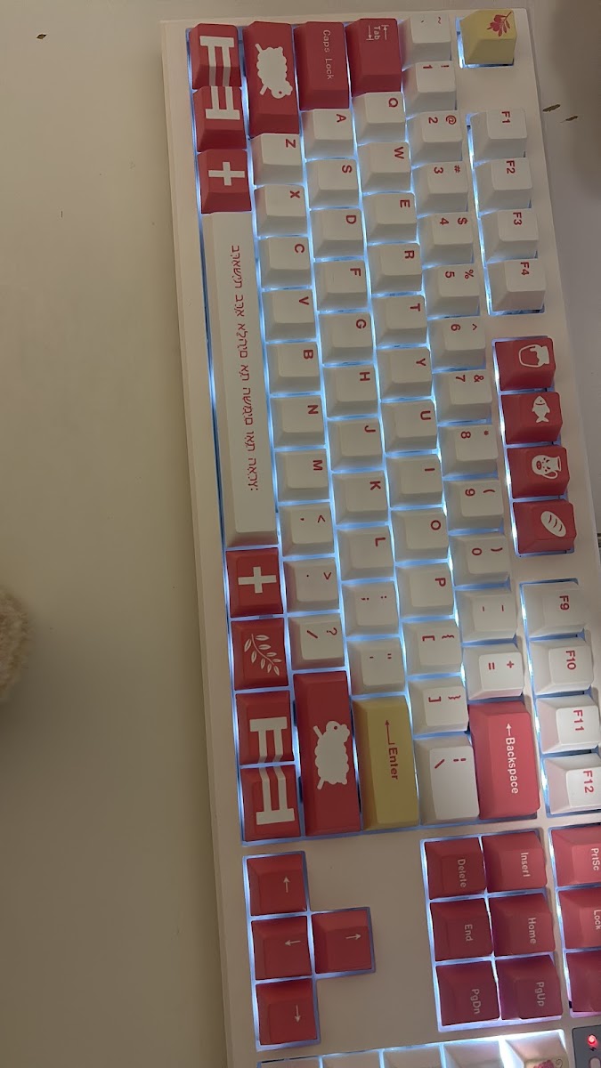 Custom keyboard built by Resonic for Zenobia Loh